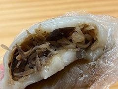 -海丝金凤(金鱼店)