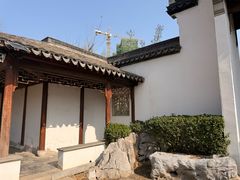 -桃花堤公园