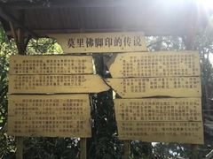 -莫里热带雨林景区