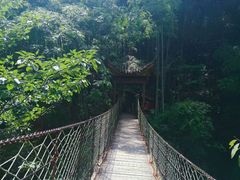 -石台牯牛降景区