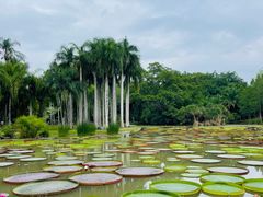 -中国科学院西双版纳热带植物园