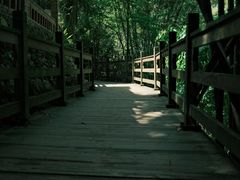 -凤栖山