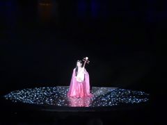 -印象西湖·最忆是杭州实景演出
