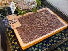 -顺德了能馆(虎门店)