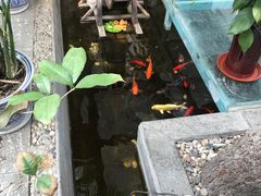 -悦真雅院·四合院·清真私房菜(雍和宫店)