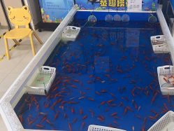 -孩子王童乐园(马群店)