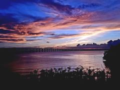 -宝安西湾红树林湿地公园