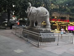 -洞子老火锅(青年路店)