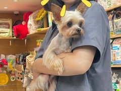 -帕帕拉兹宠物(亚洲旗舰店)