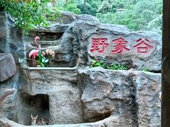 -野象谷景区