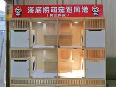 -海底捞火锅(奥体南路店)
