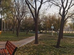 -泰丰公园