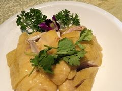 -新高记·粤菜·湛江鸡(南头古城店)