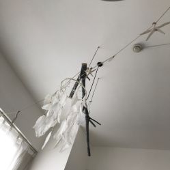 点击看大图 -雪儿·YuKi美甲美睫皮肤管理Salon