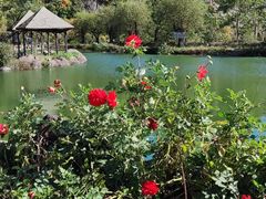 -黄椅山火山森林公园