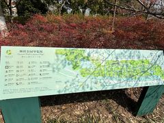-顾村公园