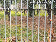 -上方山森林动物世界