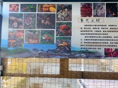 -野菌皇海景野生菌火锅(滨海大道店)