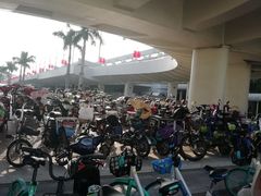 -厦门高崎国际机场T4航站楼-停车场