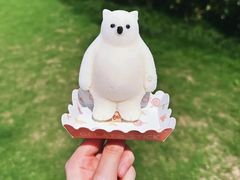 -上海海昌海洋公园