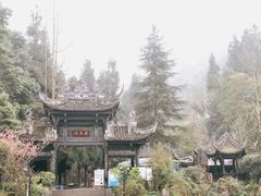 -张醪糟