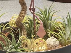 -虹御轩·传承江浙菜(虹桥店)