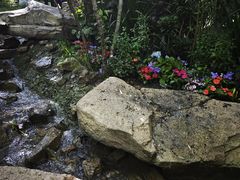 -帽儿山风景区