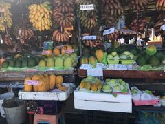 -南沙十九涌渔人码头-南门