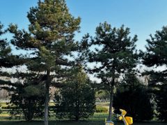 -汉长安城未央宫国家考古遗址公园