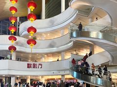 -合肥大剧院