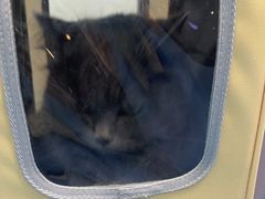 -博特宠物医院24h犬猫全科.骨科·异宠