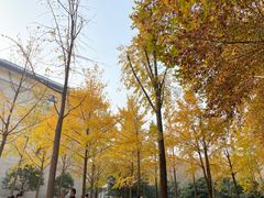 -河南省黄河迎宾馆