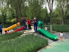 -东升文体公园