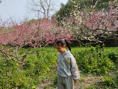 -上海海湾国家森林公园