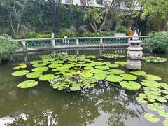 -碧江金楼