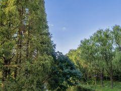 -昆山城市生态森林公园