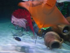 -沈阳海洋探索中心