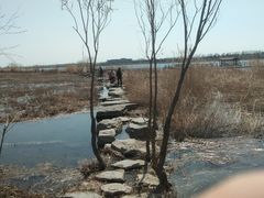 -绿堤公园