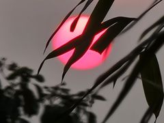 -韬光茶庵