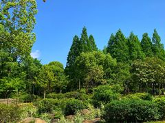 -宝界山林公园