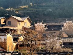-杨家堂村