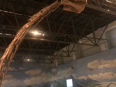 -自贡恐龙博物馆