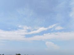 -空港花田景区
