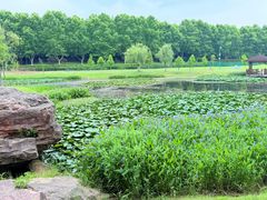 -宜兴龙背山森林公园