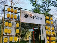 -西溪国家湿地公园