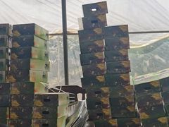 -马陆小张葡萄园农家乐