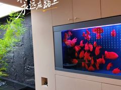 -宫七SPA·高端Massage(浦东大道店)