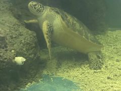 -上海长江河口科技馆