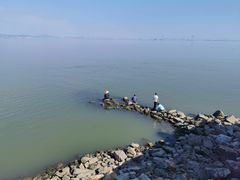 -南沙十九涌渔人码头-南门