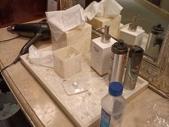 -广州富力丽思卡尔顿酒店